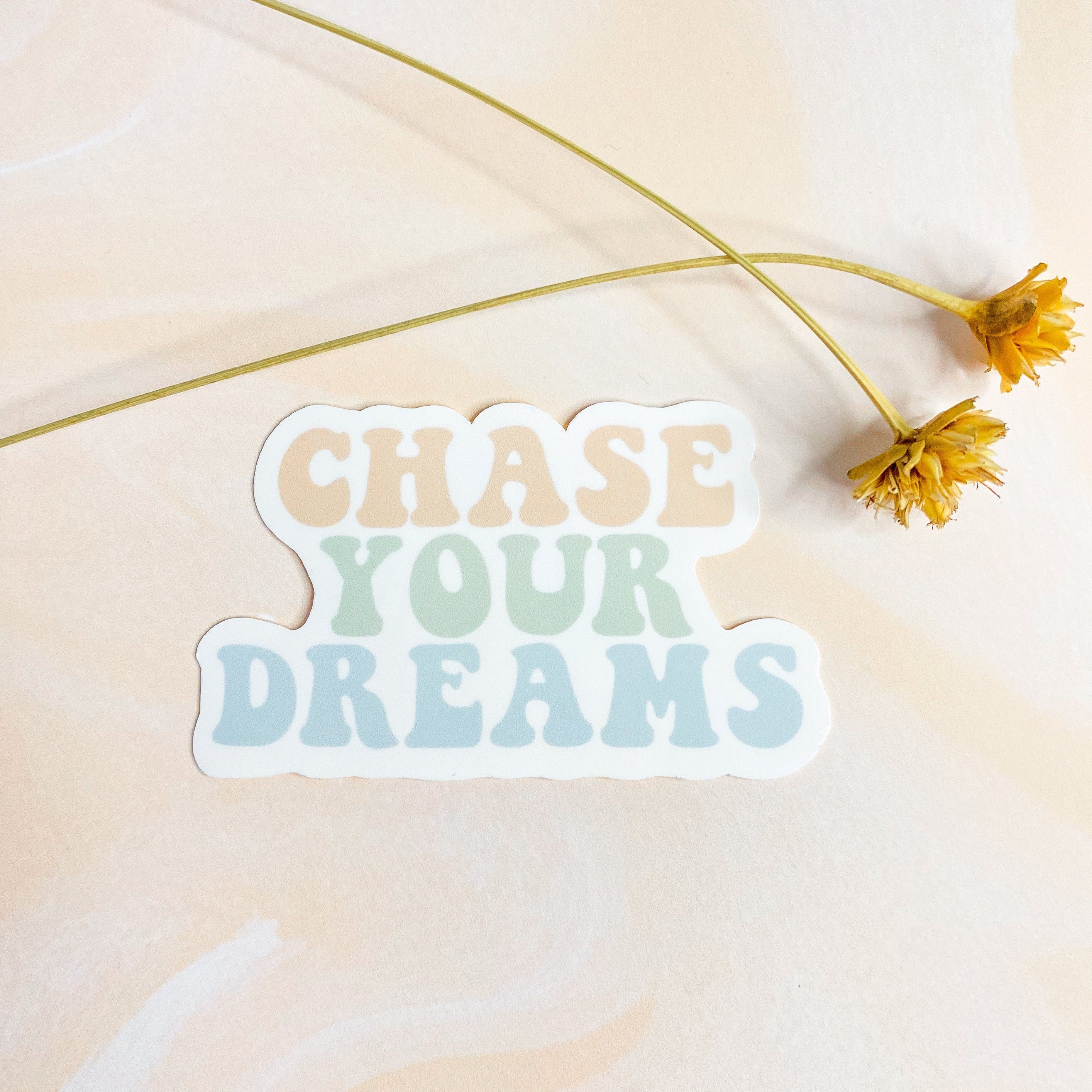 Chase Your Dreams Sticker in Pastel